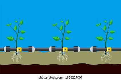 On ground drip irrigation system. Water irrigation. Automatic sprinklers system. Vector illustration flat design. Smart farming application concept. Saving water and time