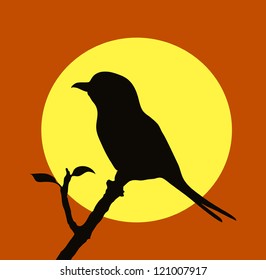 on the image the bird sitting on a branch on a branch is presented