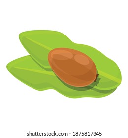 On leaf shea tree green nut icon. Cartoon of on leaf shea tree green nut vector icon for web design isolated on white background
