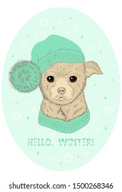On a light background there is a little cute dog in a knitted warm turquoise hat and in a scarf. Text: hello, winter!
