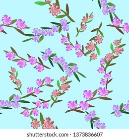 on a light blue background pink flowers 