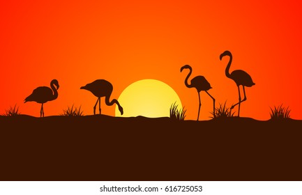 On orange background at sunset flamingo silhouettes