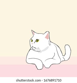 Auf dem rosafarbenen Boden steht eine weiße Katze unter.