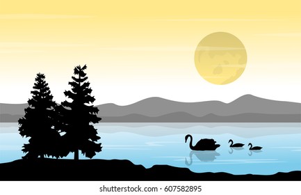 on river swan scenery at sunrise