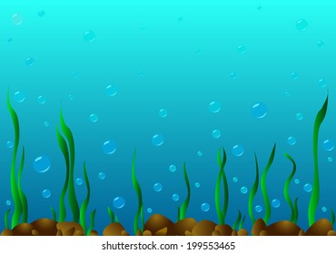 On the seabed there are stones , algae grow and a lot of bubbles .