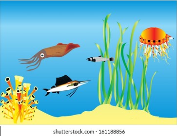 On the seafloor illustration