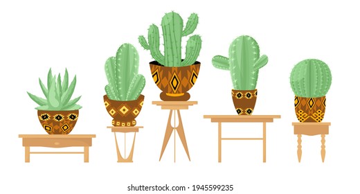 On the tables are cacti of different varieties in flower pots with ethnic patterns. Vector illustration
