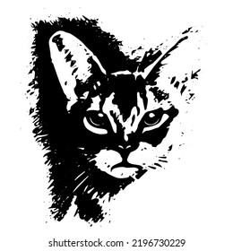 On a white background, a cat is depicted in black in vector.