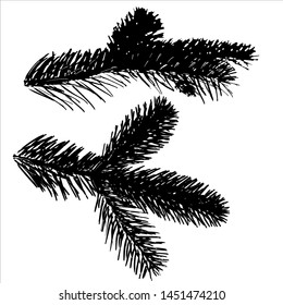 On a white background is depicted in black Christmas fir branches, in the vector.