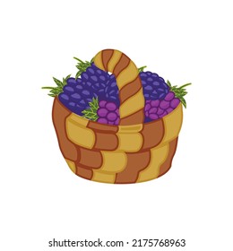 On a white background, an illustration of grapes in a basket.
