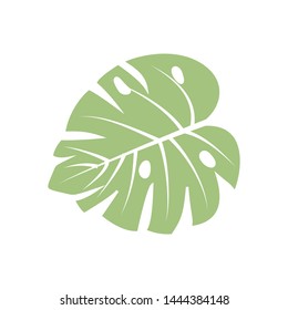 On a white background, a palm leaf is shown in a light green color, outlined in a dark green outline, in a vector.