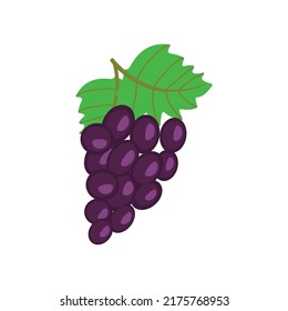 On a white background, purple grapes isolated. With stems and leaves, a bunch of purple grapes.