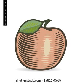 On a white background is shown red apple with green leaf that casts a shadow, in vector. On the image at the top left is a black sticker "Happy Thanksgiving".