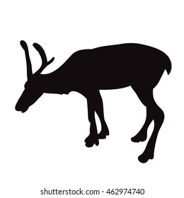 on white background silhouette of a deer with 