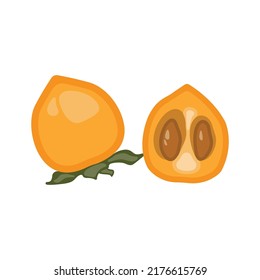 On a white background, a vector illustration of a persimmon. Tropical fruit that is juicy and exotic.