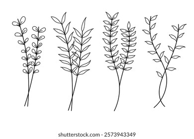on White Collection of hand-drawn plant line art illustrations featuring various botanical elements.