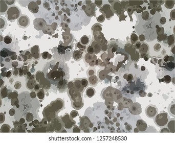 On a white wall or ceiling, there is a mold in the vector.