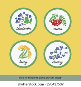 On a yellow background set of icons of medicinal rasteniy.Element design.