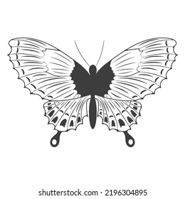 One abstract black silhouette of a cute butterfly isolated on white background