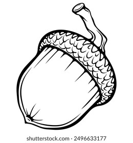 Una nuez de árbol de roble bellota con una tapa. Elemento de diseño de otoño. Ilustraciones vectoriales en estilo de boceto dibujado a mano aislado en blanco. Gráfico de contorno negro para imprimir, libro para colorear