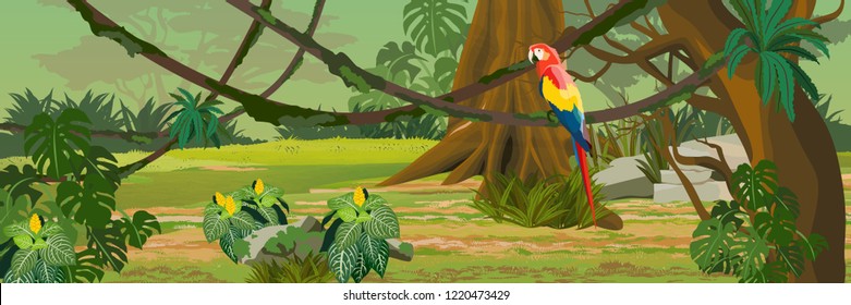 One adult macaw parrot sitting on a liana. Jungle. A tropical forest. Rainforests of Amazonia. Tree, epiphytic ferns, creepers, banana trees, flowers and monsteras. Realistic Vector Landscape