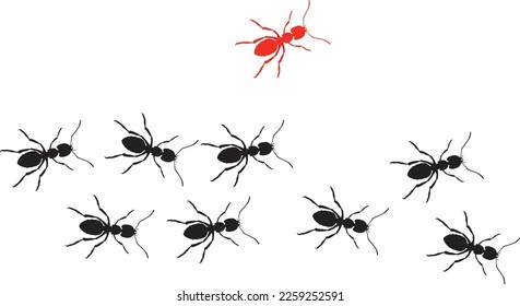 one ant going out of line.Concept of unique,different,individual