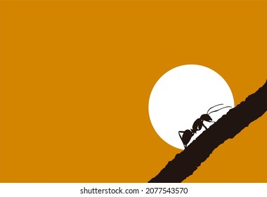one ant silhouette on a tree branch in front of the sun