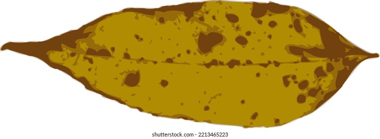 one autumn colorful leaf on a white background. vector art