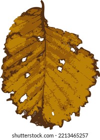 one autumn colorful leaf on a white background. vector art