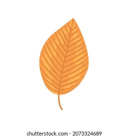 One autumn elm leaf. Vector flat icon illustration.