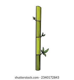 One bamboo branch stick plant vector illustration with outline isolated on square white background. Simple flat cartoon drawing  with outlined art style.