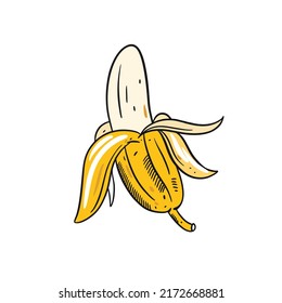 Una fruta banana. Dibujo vectorial de color dibujado a mano. Icono de garabato.