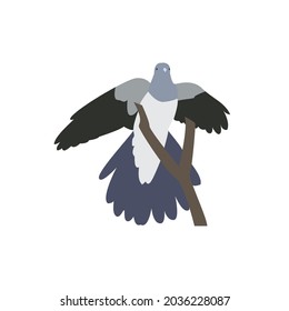 una de las bellezas de un pájaro que aletea sus alas para disfrutar del viento