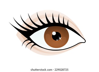 One beautiful brown color caucasian female eye wide open with eyebrow and eyelash. Eye icon, simple drawing graphic design, vector art image illustration, isolated on a white background