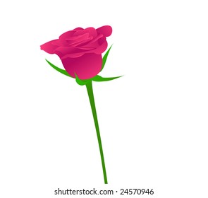 One beauty pink rose on white background. Vector illustration.