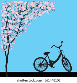 One Bicycle Parking Under Blooming Full Bloom Pink Sakura Tree (Cherry Blossom), Flower Shadow Black Wood Bark Backdrop, Silhouette Floral Vintage Banner, Travel Scene On Blue Background