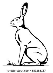 One big adult hare sitting on the ground on side view in black and white color, isolated
