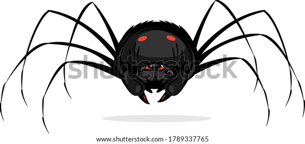 One big black cartoon scary spider with red\
evil eyes, spider in front view with red spots on abdomen and big\
cheliceraes isolated\
illustration