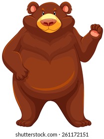 One big brown bear on a white background 