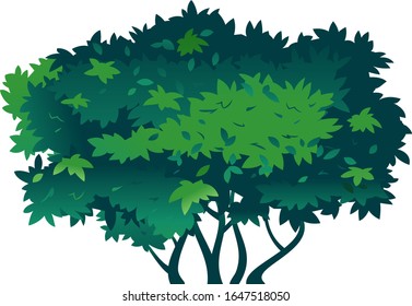 One big green bush on ground with thick leaves, nature plant for composition, plant with a dense crown