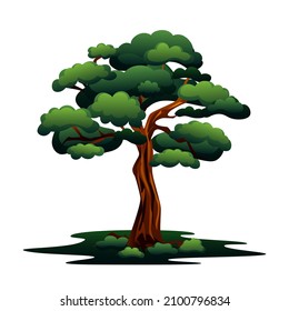 Un gran árbol aislado en un fondo blanco. Ilustración vectorial botánica.
