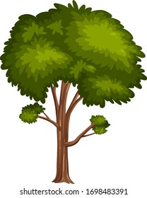 One big tree on white background illustration