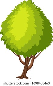 One big tree on white background illustration