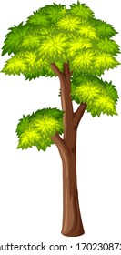 Un árbol grande en ilustración de fondo blanco