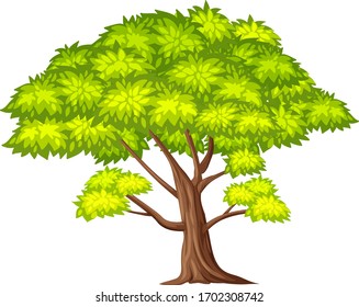 One big tree on white background illustration