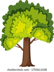 One big tree on white background illustration