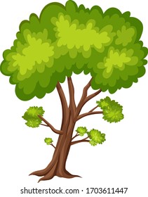 One big tree on white background illustration