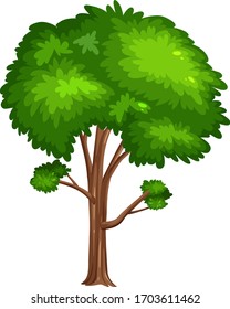 Un árbol grande en ilustración de fondo blanco