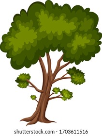 Un árbol grande en ilustración de fondo blanco