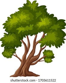 Ein großer Baum auf weißem Hintergrund, Vektorgrafik